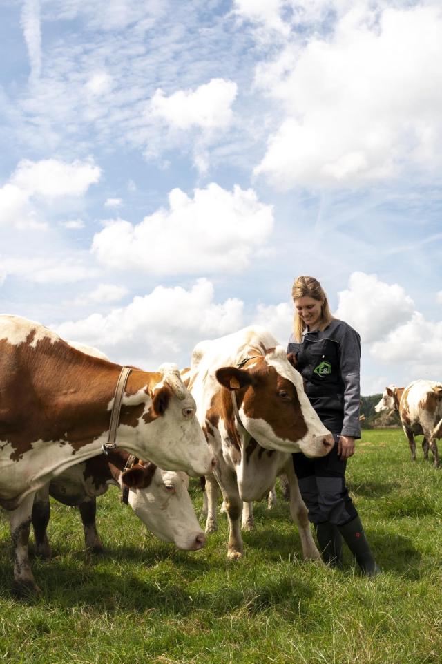 Evelyne bij koe in de wei